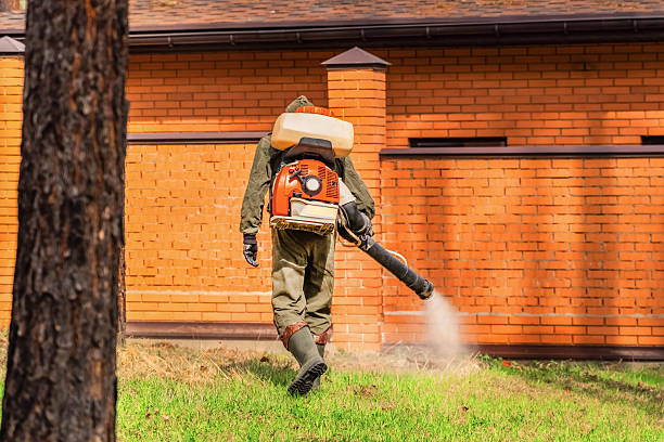 Trusted Bed Bug Control service in Chester Heights, PA - Nex Pest Control